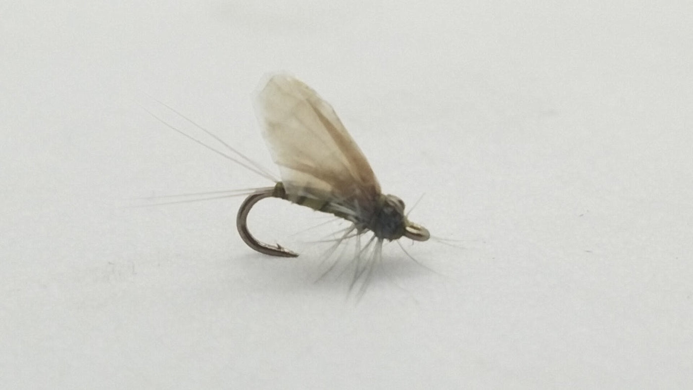 Hackle Dun Baetis
