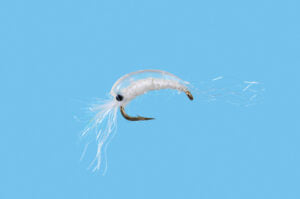 BTS Mysis Shrimp