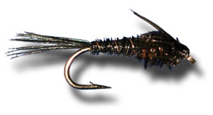 Pheasant Tail
