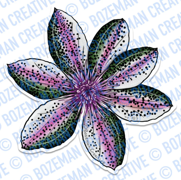 Bozeman Creative Stickers