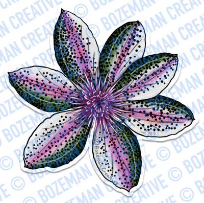 Bozeman Creative Stickers