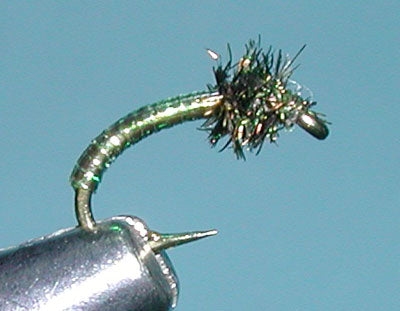 Disco Midge