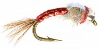 Rainbow Warrior