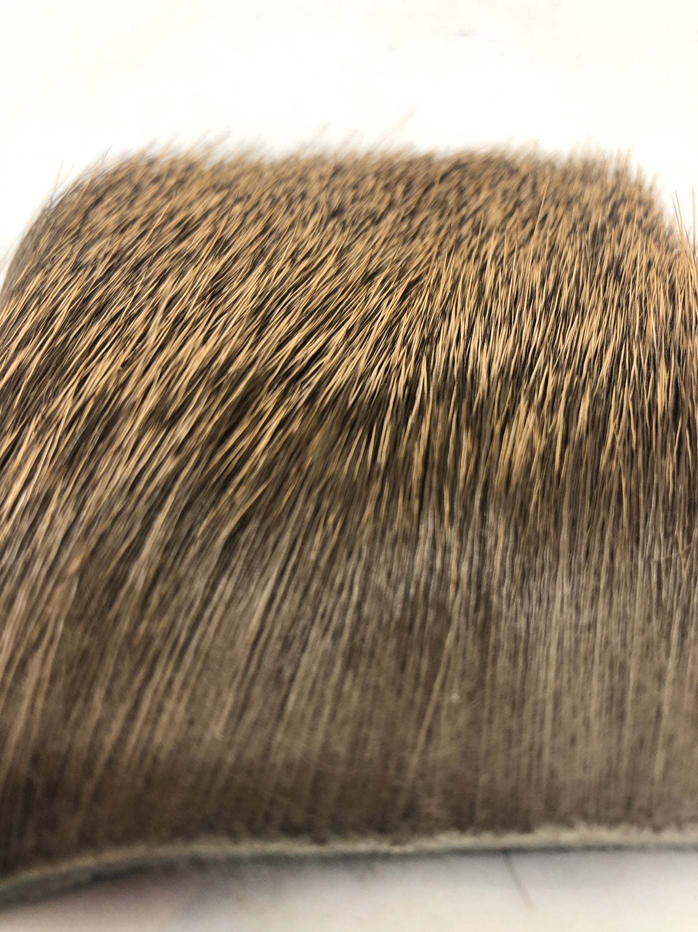 Wapsi Elk Body Hair