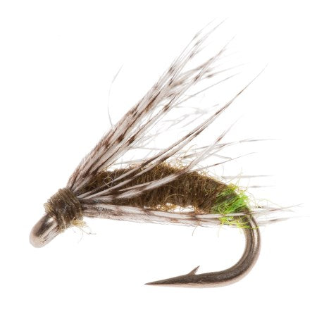 Galloup's Drowned Caddis