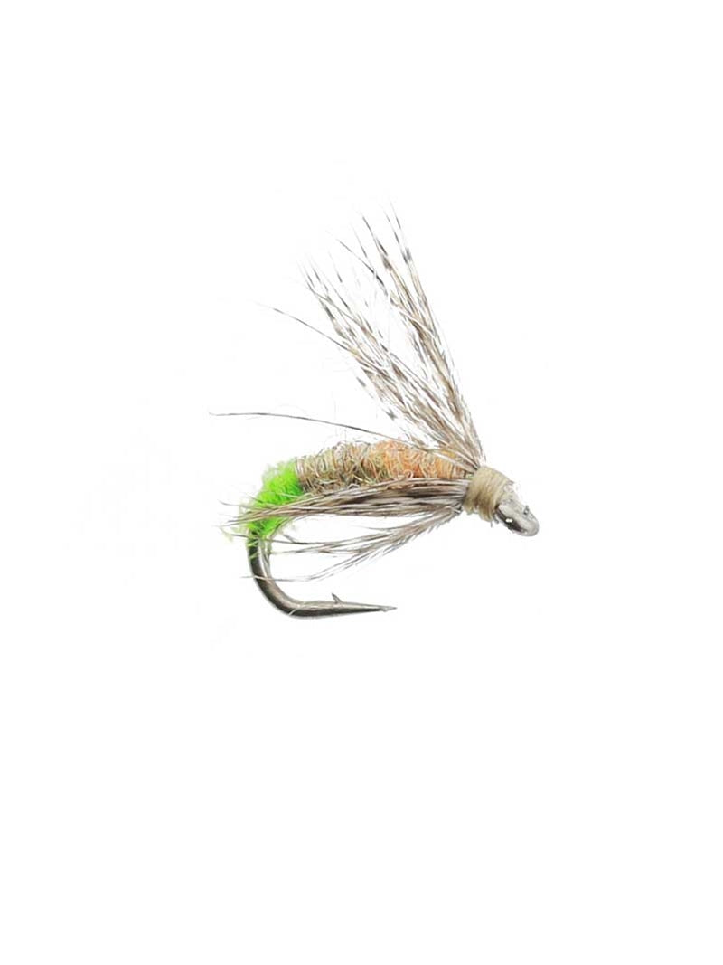 Galloup's Drowned Caddis