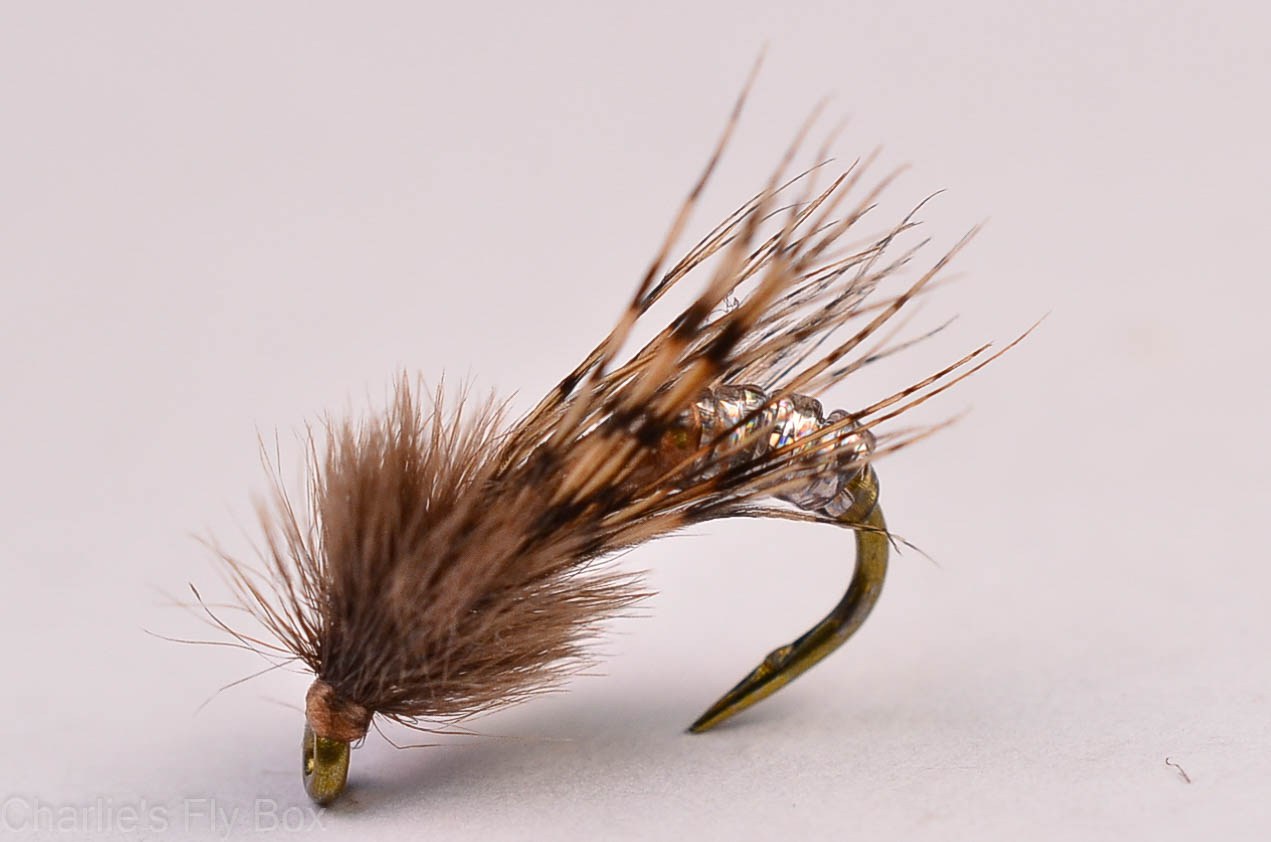 Barr's Graphic Caddis