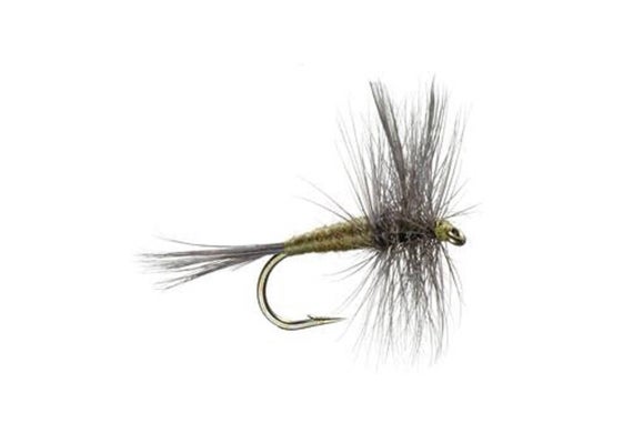 Blue Wing Olive Dry Fly