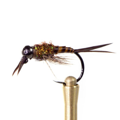 Biot Epoxy Stone Jig TGB