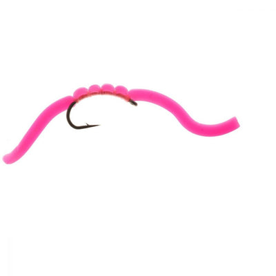Squirmy Worms