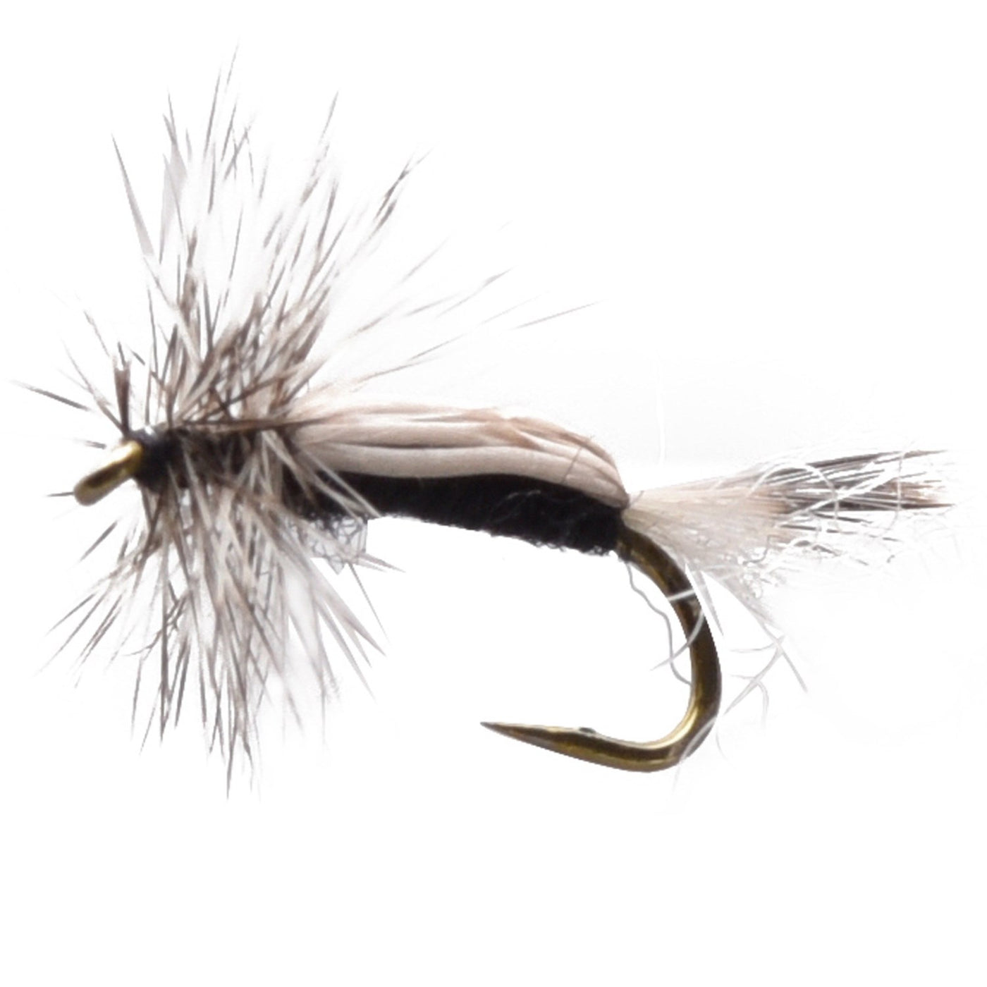 Adult Midge