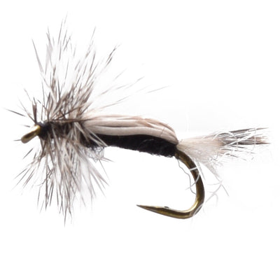 Adult Midge
