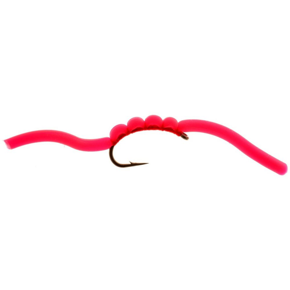 Squirmy Worms