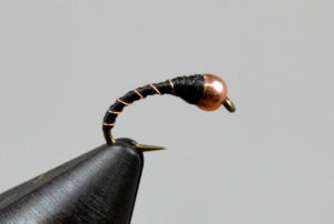 Zebra Midge